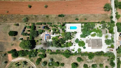 Rural Finca in Algaida photo 4