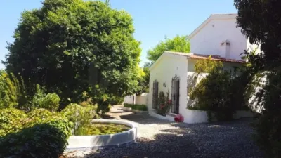 House in Viñagrande photo 23