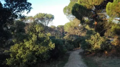 House in El Bosque photo 36