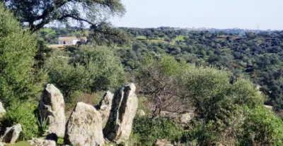 House in Las Pajanosas photo 19