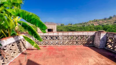 Casa – Oliva - Més