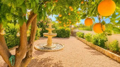 Rustic Finca in Caravaca de la Cruz photo 13