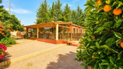 Rustic Finca in Caravaca de la Cruz photo 12