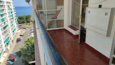 Apartment in Calella photo 3