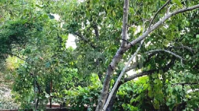 Chalet on Calle Luis Braille, 7 photo 19