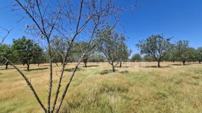 House in Malpartida de Plasencia photo 12