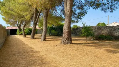 Apartment in Moraleja de Cuéllar photo 29