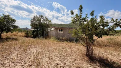 Rustic Finca in Jérica photo 35