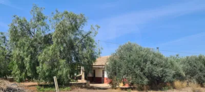 Rustic Finca in La Hoya-Almendricos-Purias photo 5