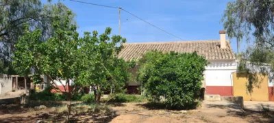 Rustic Finca in La Hoya-Almendricos-Purias photo 14