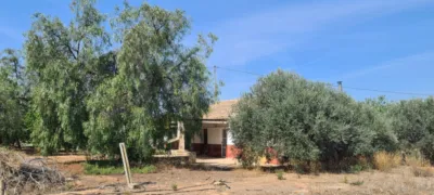 Rustic Finca in La Hoya-Almendricos-Purias photo 11