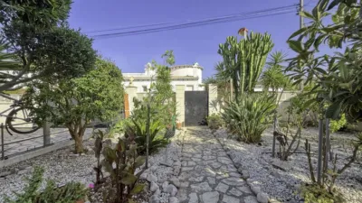 Chalet in Els Poblets photo 8