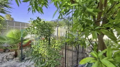 Chalet in Els Poblets photo 11