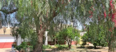 Rustic Finca in La Hoya-Almendricos-Purias photo 6