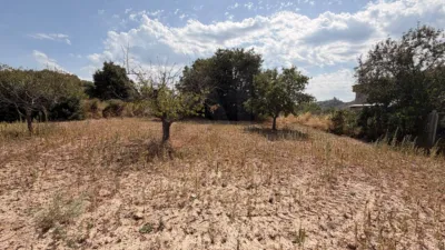 Rustic Finca in Jérica photo 29