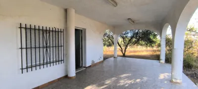 Casa – Crevillent, Polígono Industrial Catxapets, el Baix Vinalopó - Vista 5