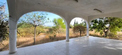 Casa – Crevillent, Polígono Industrial Catxapets, el Baix Vinalopó - Vista 3