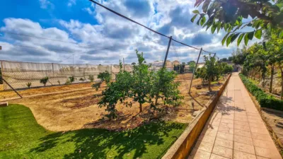 Rustic Finca in El Vedat-Santa Apol·lònia photo 4