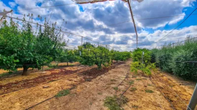 Rustic Finca in El Vedat-Santa Apol·lònia photo 22