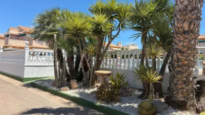 House in Orihuela photo 32