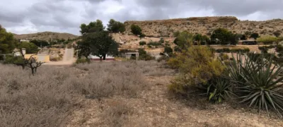 House in Crevillent photo 37