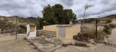 House in Crevillent photo 32