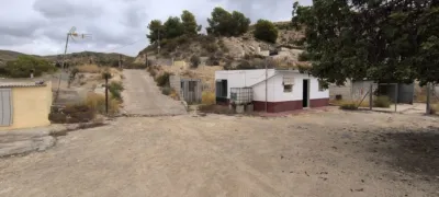 House in Crevillent photo 28