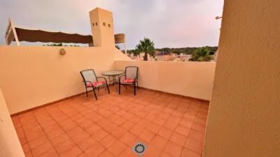 Chalet in Vega Baja del Segura photo 22