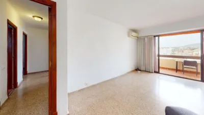 Apartment in El Fortí photo 27