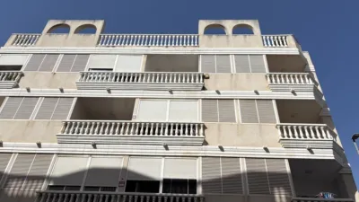 Apartment in Formentera del Segura photo 3