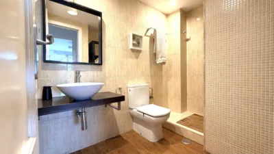 Apartment in Alicante photo 23