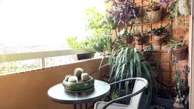 Apartment in Alicante photo 9