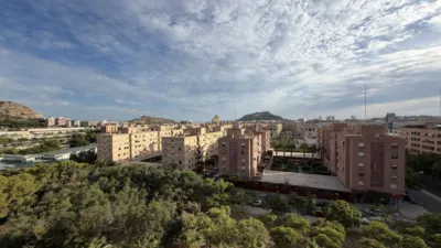 Apartment in Alicante photo 2