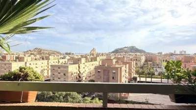 Apartment in Alicante photo 11