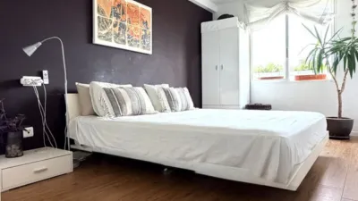 Apartment in Alicante photo 19