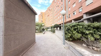 Apartment in Alicante photo 35