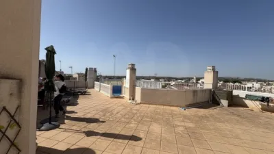 Apartment in Formentera del Segura photo 32