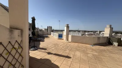 Apartment in Formentera del Segura photo 19