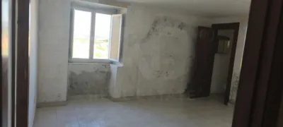 House in Neda photo 24
