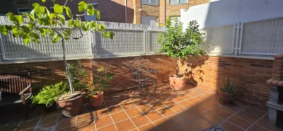 Apartment in Centro photo 32