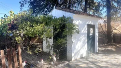 House in Zalamea la Real photo 19