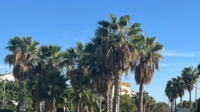 Apartment in Vallpineda-Santa Bàrbara photo 33