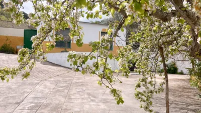 Rustic Finca in Casabermeja photo 33