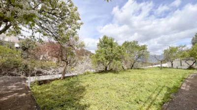 Rustic Finca in Casabermeja photo 6