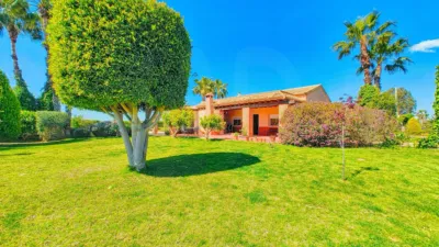 Casa – Elx - Elche - Vista 4