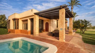 Casa – Elx - Elche - Más