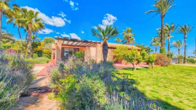 Casa – Elx - Elche - Vista 5
