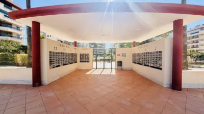 Pis – Elx - Elche - Vista 2