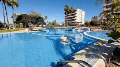 Pis – Elx - Elche - Vista 4