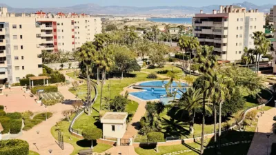 Pis – Elx - Elche - Vista 3